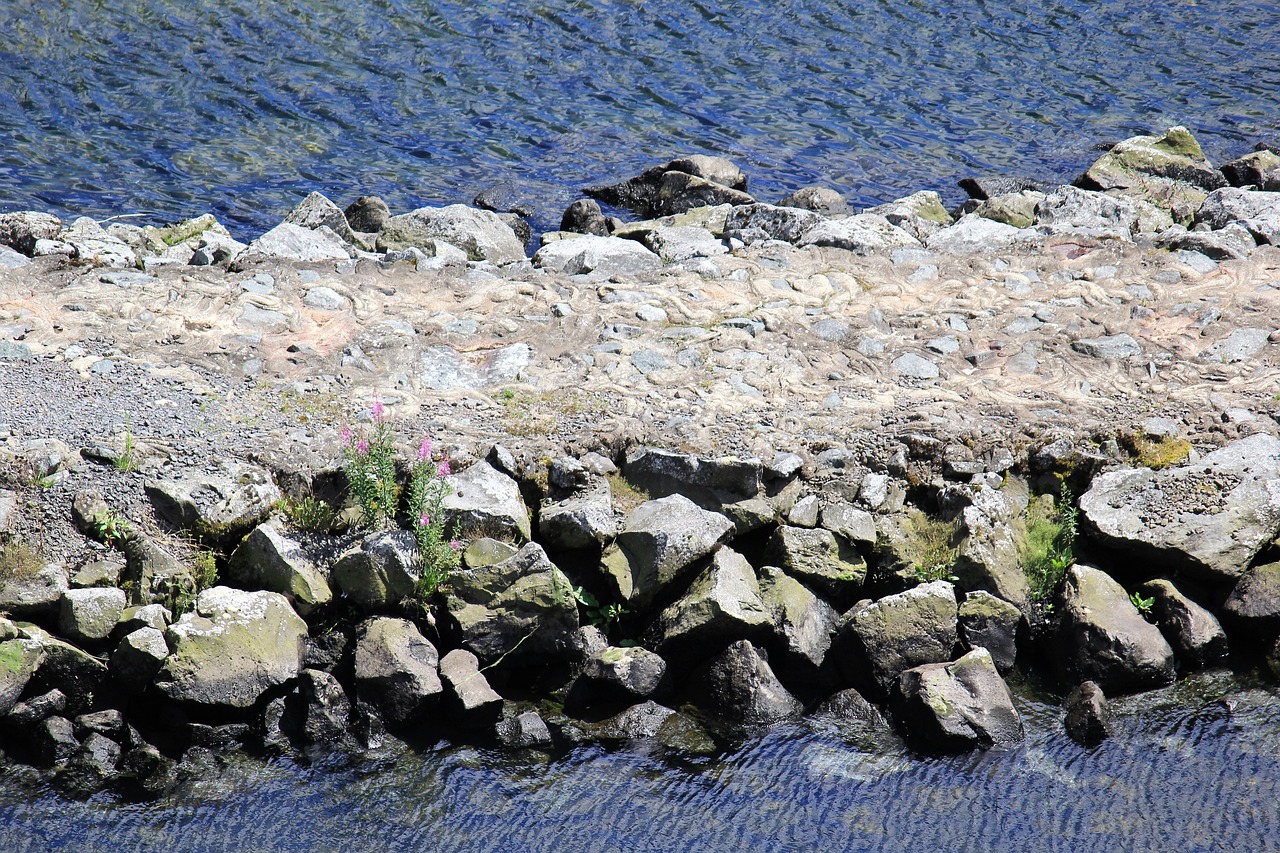 The Pros and Cons of Hydropower